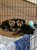 processed/ac7c8619-a19d-4b72-b0d3-876a8131262e/facility/456e15d6-98ff-4d84-97f4-81f910a48b82