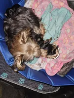 processed/ac7c8619-a19d-4b72-b0d3-876a8131262e/facility/76c682c1-2cb9-472e-8a22-db38ae457055