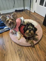 processed/ac7c8619-a19d-4b72-b0d3-876a8131262e/facility/798903b6-9b39-412a-a3c2-a03677b9ed1d