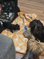 processed/ac7c8619-a19d-4b72-b0d3-876a8131262e/facility/7caad282-540c-4baf-9325-4d5ef932fabb