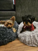 processed/ac7c8619-a19d-4b72-b0d3-876a8131262e/facility/d9b735c8-cb0b-4d78-a21c-e023ee4f3c2c