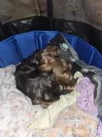 processed/ac7c8619-a19d-4b72-b0d3-876a8131262e/facility/db596bc9-063e-4019-878d-33ebe8fceec2