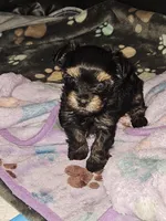 processed/ac7c8619-a19d-4b72-b0d3-876a8131262e/facility/edfac7bc-4f1c-4998-a833-64ec8eb45b91