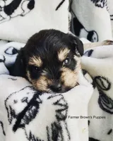 processed/ac7d660c-675b-4ab7-9506-e6232c43423b/facility/2bbdb696-58d4-4214-81dc-5146c8b8cf94