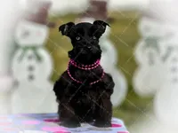 processed/ac9429ba-6088-416a-8b14-54a6599f1493/listing/0f5a60fd-1d34-4035-ba74-6fe7b9b2f077/07a1879e-5101-4a4d-ac10-8a4017366e04