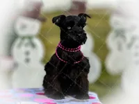 processed/ac9429ba-6088-416a-8b14-54a6599f1493/listing/0f5a60fd-1d34-4035-ba74-6fe7b9b2f077/2e2316d4-6492-4e74-b2a7-d939ac9bb828