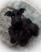 processed/ac9429ba-6088-416a-8b14-54a6599f1493/listing/0f5a60fd-1d34-4035-ba74-6fe7b9b2f077/823e4b45-d0c6-4edf-be7c-16788e2af0de