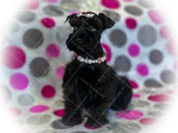 processed/ac9429ba-6088-416a-8b14-54a6599f1493/listing/0f5a60fd-1d34-4035-ba74-6fe7b9b2f077/cd3b53f4-4aa4-4500-96f3-5339b8421233