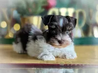 processed/ac9429ba-6088-416a-8b14-54a6599f1493/listing/23e8c096-831b-4b07-a73d-6f189fa45672/27ff846f-bdbd-439e-aca1-ae5f7fceae17