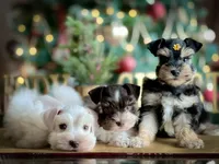 processed/ac9429ba-6088-416a-8b14-54a6599f1493/listing/23e8c096-831b-4b07-a73d-6f189fa45672/4eb1b86b-8d0b-450b-b4c7-022b8f158d9b