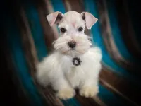 processed/ac9429ba-6088-416a-8b14-54a6599f1493/listing/23e8c096-831b-4b07-a73d-6f189fa45672/bb23ed60-9dff-4a96-a8a3-19c006251590