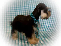 processed/ac9429ba-6088-416a-8b14-54a6599f1493/listing/23e8c096-831b-4b07-a73d-6f189fa45672/d44d3665-2561-4803-8bb0-46f0717a2dcb