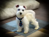 processed/ac9429ba-6088-416a-8b14-54a6599f1493/listing/35a0483f-ba45-4e6d-9672-b97657c375a4/0bf4e46b-5dc2-4c69-817b-b88a53e499c4