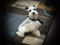 processed/ac9429ba-6088-416a-8b14-54a6599f1493/listing/35a0483f-ba45-4e6d-9672-b97657c375a4/3332abfb-155f-4bc2-904f-37a95e6fab30