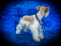 processed/ac9429ba-6088-416a-8b14-54a6599f1493/listing/35a0483f-ba45-4e6d-9672-b97657c375a4/68163f5b-b10f-4cc9-ac81-378aeda1c64d