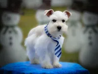 processed/ac9429ba-6088-416a-8b14-54a6599f1493/listing/35a0483f-ba45-4e6d-9672-b97657c375a4/af1b95ab-7054-459b-bf6c-ad17274c4cbe