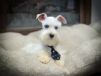 processed/ac9429ba-6088-416a-8b14-54a6599f1493/listing/35a0483f-ba45-4e6d-9672-b97657c375a4/e15f0235-6e4c-4c42-af99-9557698af137