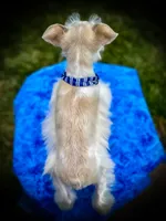 processed/ac9429ba-6088-416a-8b14-54a6599f1493/listing/35a0483f-ba45-4e6d-9672-b97657c375a4/f4e8af8b-10df-4320-bd54-7e630e77cb44