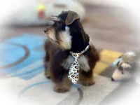 processed/ac9429ba-6088-416a-8b14-54a6599f1493/listing/360c26fd-199e-476a-9487-ac282d99d724/da386337-c0b3-4aaa-b7e2-3b77e75e7fbb