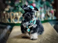 processed/ac9429ba-6088-416a-8b14-54a6599f1493/listing/612cda28-7ca1-4da5-a58a-8e5b7639d8df/1c03da58-809b-4638-8745-d1152a99684e