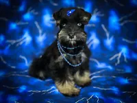 processed/ac9429ba-6088-416a-8b14-54a6599f1493/listing/612cda28-7ca1-4da5-a58a-8e5b7639d8df/5fc9145e-0c41-4f29-9c42-7ee2c19551f9