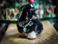 processed/ac9429ba-6088-416a-8b14-54a6599f1493/listing/612cda28-7ca1-4da5-a58a-8e5b7639d8df/a23e020d-0d07-4287-9dd8-5ccad517ca62