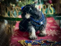 processed/ac9429ba-6088-416a-8b14-54a6599f1493/listing/612cda28-7ca1-4da5-a58a-8e5b7639d8df/e5d188f0-3021-477d-a716-441a050ed09a