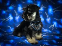 processed/ac9429ba-6088-416a-8b14-54a6599f1493/listing/612cda28-7ca1-4da5-a58a-8e5b7639d8df/f7dd05b7-115b-446e-bdb7-8e1d109891d4