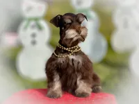 processed/ac9429ba-6088-416a-8b14-54a6599f1493/listing/72c72702-e041-4de4-b531-16f45fb4bfa3/6907bff7-0ed5-4548-bbb3-1c3f5f072beb