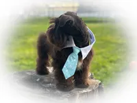 processed/ac9429ba-6088-416a-8b14-54a6599f1493/listing/73d8907e-ad52-4c79-a5f6-0ba50f7ea46d/130a5ab2-6963-4736-b648-c1a0f1718ce7