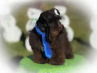 processed/ac9429ba-6088-416a-8b14-54a6599f1493/listing/73d8907e-ad52-4c79-a5f6-0ba50f7ea46d/a46fda7d-9c99-4713-9df5-e4f5a2dee5f1