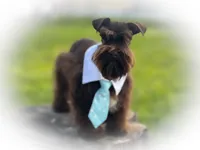 processed/ac9429ba-6088-416a-8b14-54a6599f1493/listing/73d8907e-ad52-4c79-a5f6-0ba50f7ea46d/df833916-128d-49ce-9d54-5f51280ef676