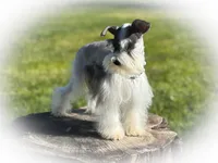 processed/ac9429ba-6088-416a-8b14-54a6599f1493/listing/94ba8902-19fe-4180-be92-ed48c8ddd061/0677a202-0281-4f40-8be2-c05117530b7a