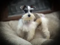 processed/ac9429ba-6088-416a-8b14-54a6599f1493/listing/94ba8902-19fe-4180-be92-ed48c8ddd061/0776a15c-6f1f-4da1-8363-4cf0731b006f