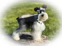 processed/ac9429ba-6088-416a-8b14-54a6599f1493/listing/94ba8902-19fe-4180-be92-ed48c8ddd061/448ac0c8-9bb4-443f-98bf-ee7085ad9bba