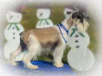 processed/ac9429ba-6088-416a-8b14-54a6599f1493/listing/94ba8902-19fe-4180-be92-ed48c8ddd061/7027b7b1-d9af-4cac-8579-3cd9d1b7e97c