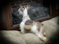 processed/ac9429ba-6088-416a-8b14-54a6599f1493/listing/94ba8902-19fe-4180-be92-ed48c8ddd061/7d4682cc-0c62-4e59-bd9b-70f042abfbe8