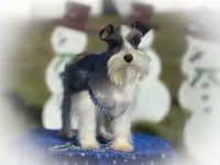 processed/ac9429ba-6088-416a-8b14-54a6599f1493/listing/94ba8902-19fe-4180-be92-ed48c8ddd061/ac447a41-8764-4525-bba1-54ed9fec0f72