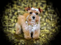 processed/ac9429ba-6088-416a-8b14-54a6599f1493/listing/a1fa0308-ac61-40cc-abbc-e8c7dc69953b/69ef4893-c07f-44a6-965c-a8dac4f006a2