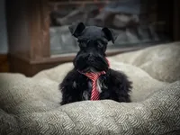 processed/ac9429ba-6088-416a-8b14-54a6599f1493/listing/a1fa0308-ac61-40cc-abbc-e8c7dc69953b/a2cec60c-31f8-4dfe-9780-b565b526ae4b