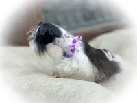 processed/ac9429ba-6088-416a-8b14-54a6599f1493/listing/c64f2f2c-7475-4dc4-98f4-d4fb725bd3e4/1091b445-3f7f-4798-b453-52237a970081