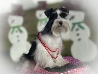 processed/ac9429ba-6088-416a-8b14-54a6599f1493/listing/c64f2f2c-7475-4dc4-98f4-d4fb725bd3e4/1ac4ca0b-6a7d-4105-ba88-a11872d8fdf5