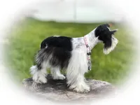 processed/ac9429ba-6088-416a-8b14-54a6599f1493/listing/c64f2f2c-7475-4dc4-98f4-d4fb725bd3e4/3e9a37a3-eec2-48b2-acae-65c633c63d5c