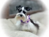 processed/ac9429ba-6088-416a-8b14-54a6599f1493/listing/c64f2f2c-7475-4dc4-98f4-d4fb725bd3e4/5707bae1-f1d5-445c-8536-d6858c22b7a9