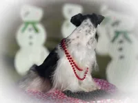 processed/ac9429ba-6088-416a-8b14-54a6599f1493/listing/c64f2f2c-7475-4dc4-98f4-d4fb725bd3e4/8fc64a6f-63a3-48e7-b9ef-c0b8d4767f2b