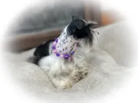 processed/ac9429ba-6088-416a-8b14-54a6599f1493/listing/c64f2f2c-7475-4dc4-98f4-d4fb725bd3e4/92e272c6-fc9b-4c89-977c-dfe2e9f16f11