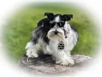 processed/ac9429ba-6088-416a-8b14-54a6599f1493/listing/c64f2f2c-7475-4dc4-98f4-d4fb725bd3e4/930be306-40df-43b5-ab9a-cf3ce88919c5