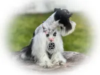 processed/ac9429ba-6088-416a-8b14-54a6599f1493/listing/c64f2f2c-7475-4dc4-98f4-d4fb725bd3e4/abfdea7f-0450-4815-b67a-0a28f7f6c869