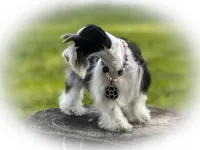 processed/ac9429ba-6088-416a-8b14-54a6599f1493/listing/c64f2f2c-7475-4dc4-98f4-d4fb725bd3e4/b6e8016a-25f7-4216-a683-bb25d8b43017