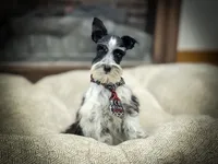 processed/ac9429ba-6088-416a-8b14-54a6599f1493/listing/d5bc1394-f135-4eb4-9f0e-11bff5fd481c/0182d4c6-6dda-4e01-99b2-d6819f93e8aa